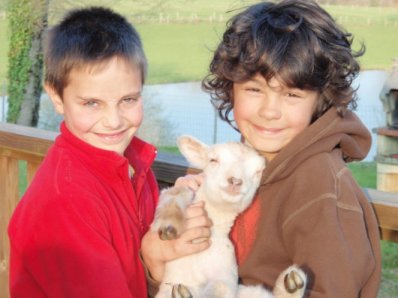 enfants agneau